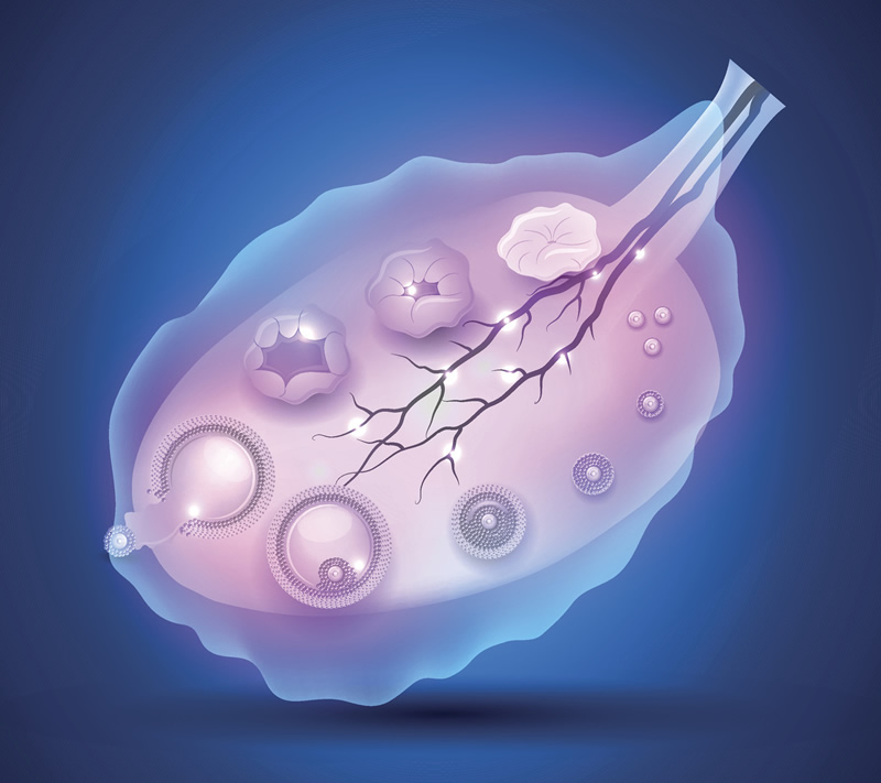 石家庄高龄试管医院排行榜前5来袭！附2026年本地口碑医生推荐与助孕费用明细